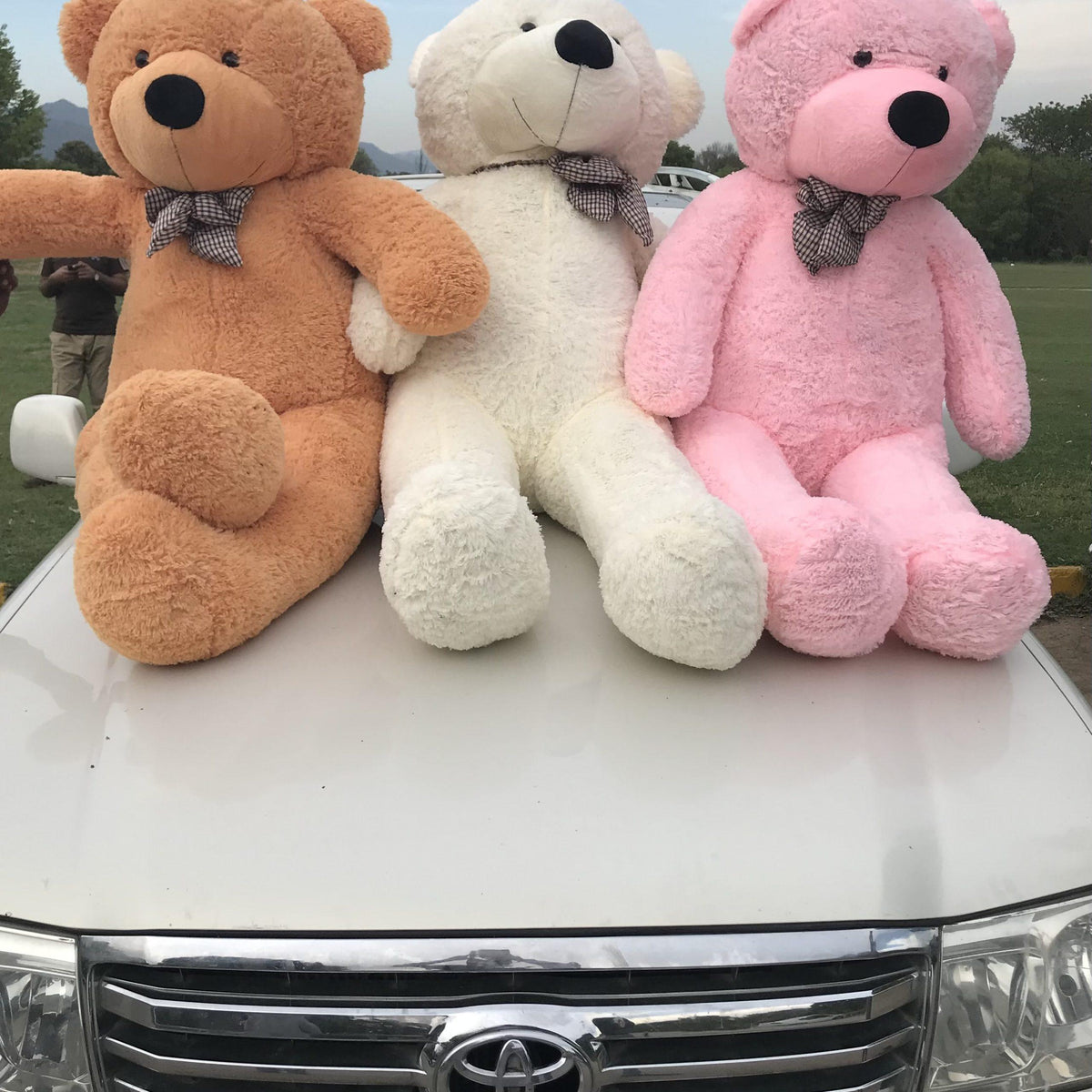 Giant teddy bears in Pakistan 4ft 6ft and 12ft Mr BigBoys teddy bears