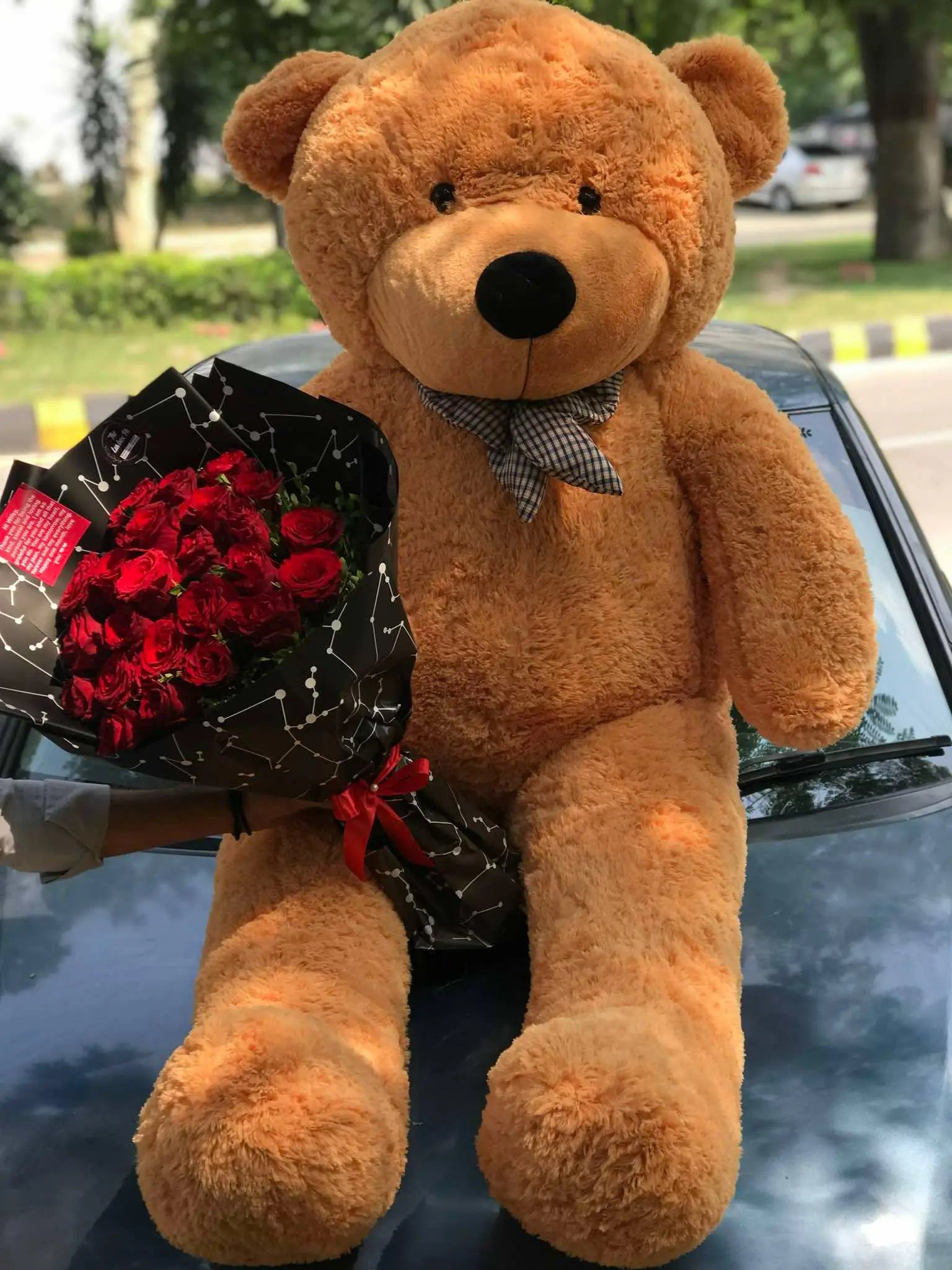 Teddy Bears (Mr BigBoys)