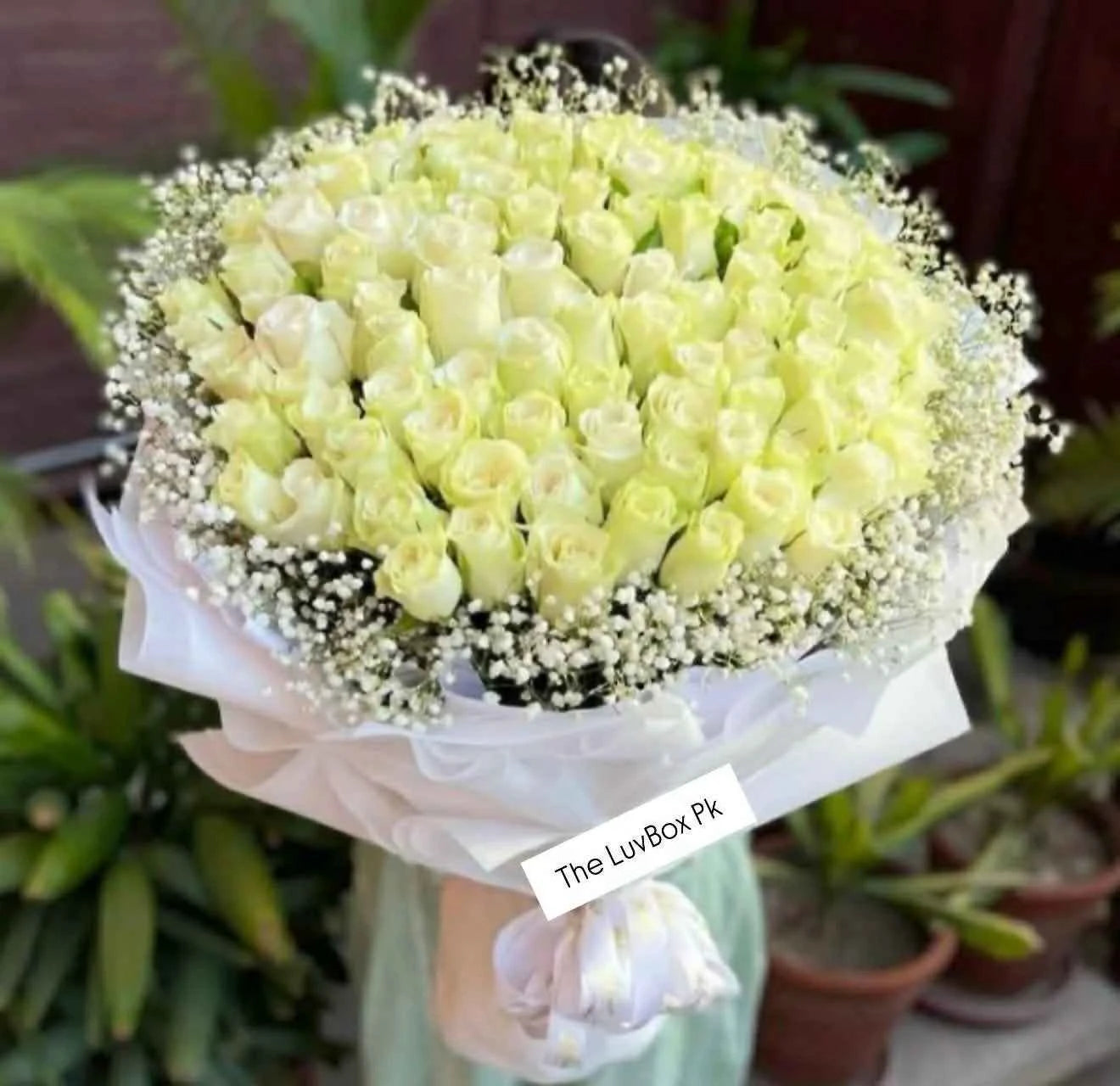 Ivory Majesty – 100 Imported White Roses Bouquet with Baby’s Breath (Ultra Luxe Edition)