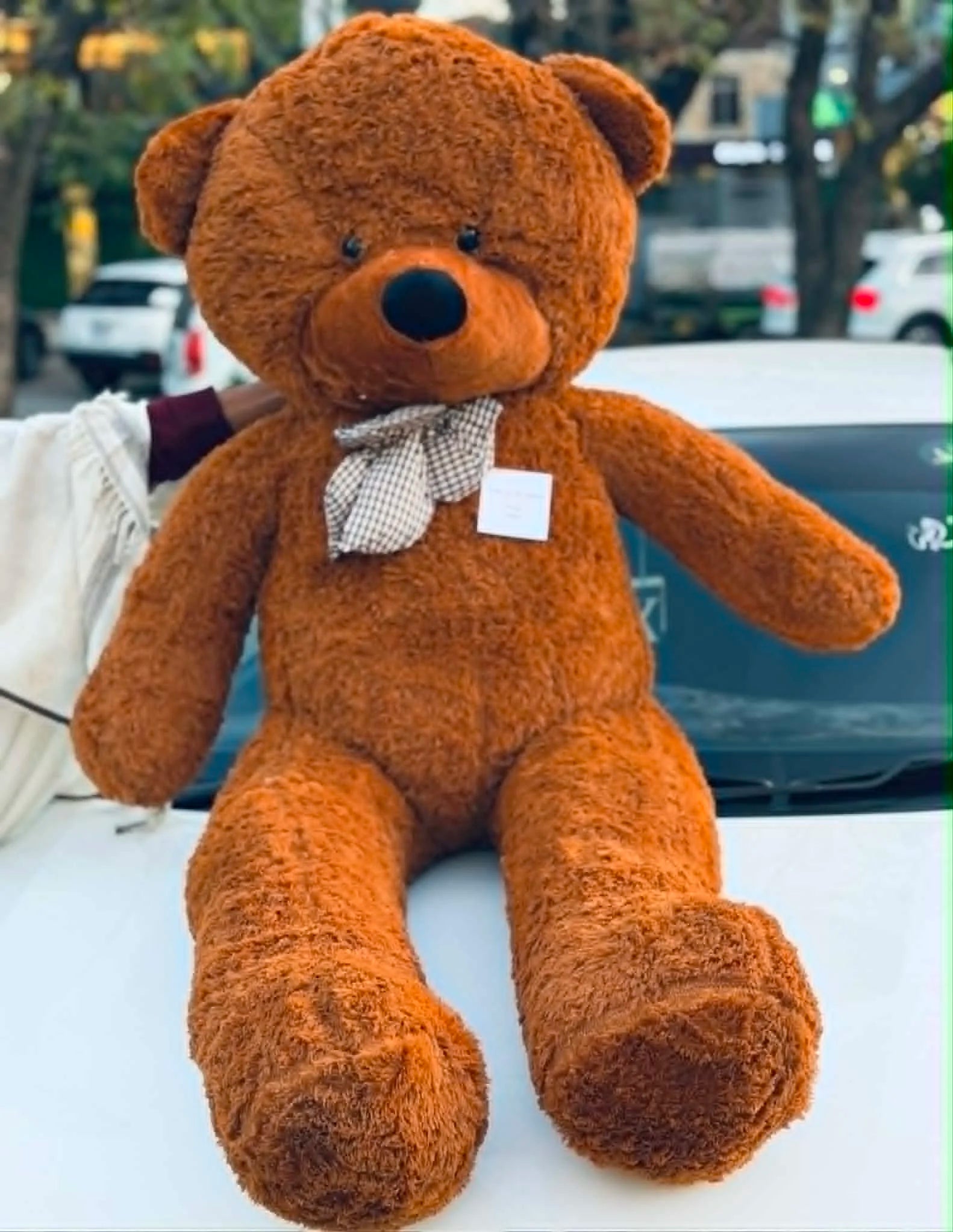 Giant 6 feet brown teddy bear birthday special edition luxury gift in Islamabad.