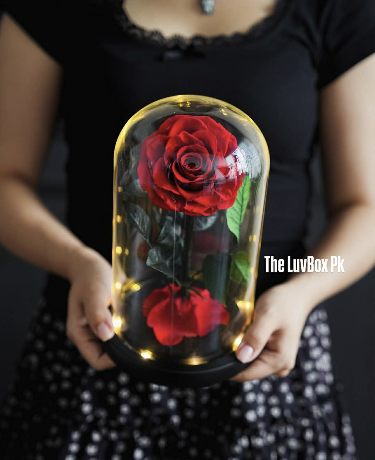 Red forever rose preserved flower gift in Islamabad Pakistan