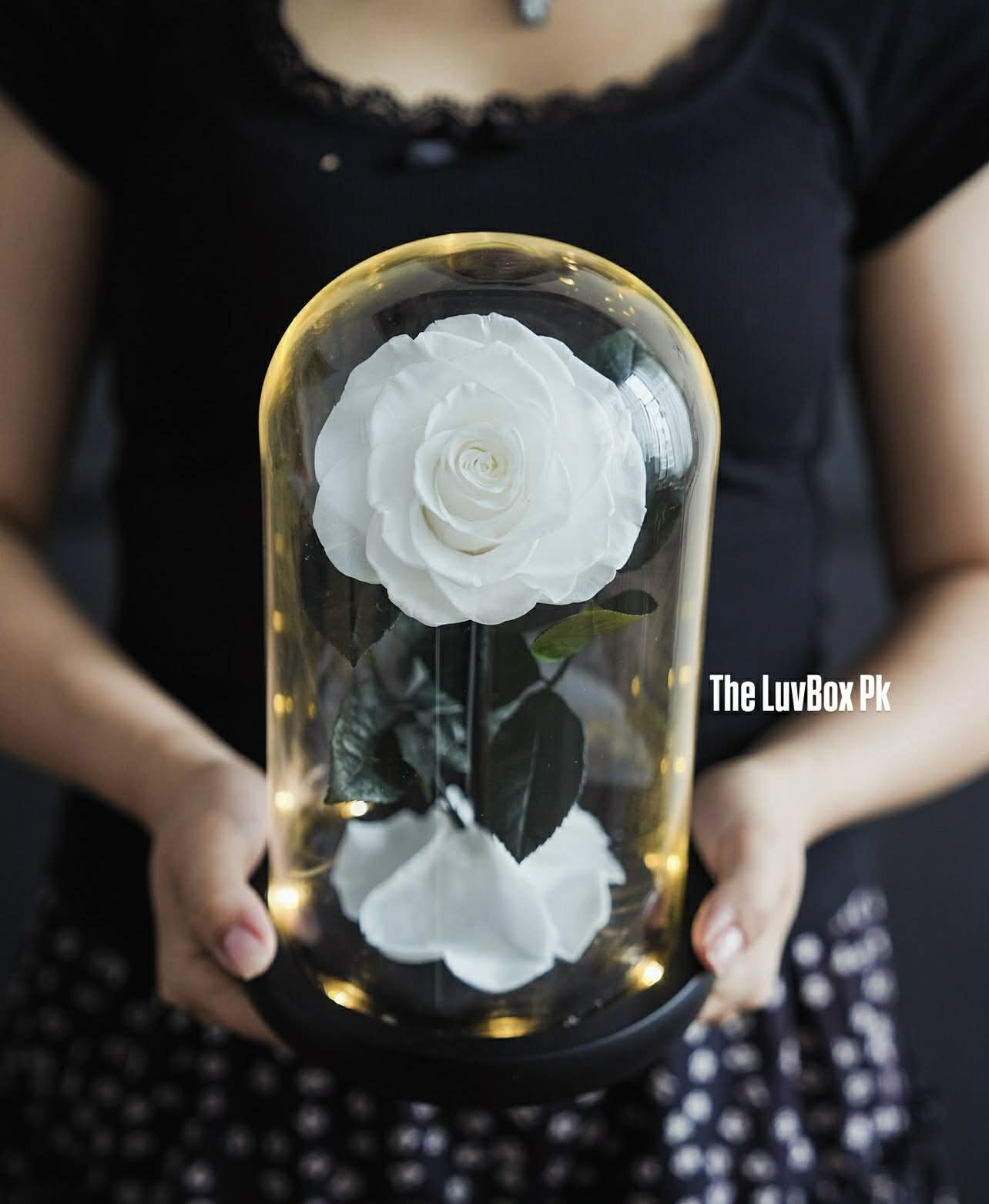 White forever rose preserved flower gift in Islamabad Pakistan