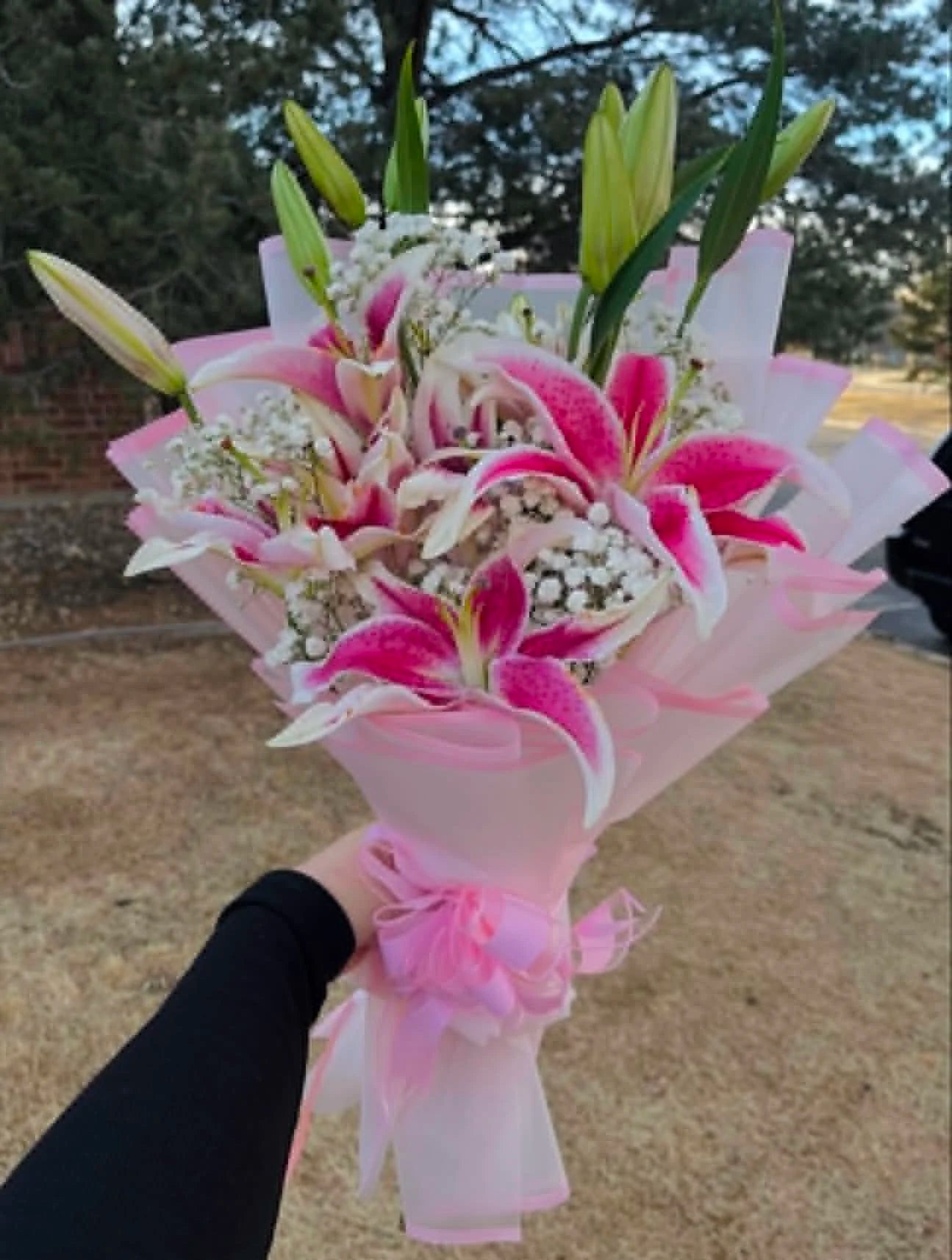 Gorgeous pink lily bouquet surrounded by delicate white Baby’s Breath, beautifully wrapped for birthdays, anniversaries and flower delivery in Islamabad.