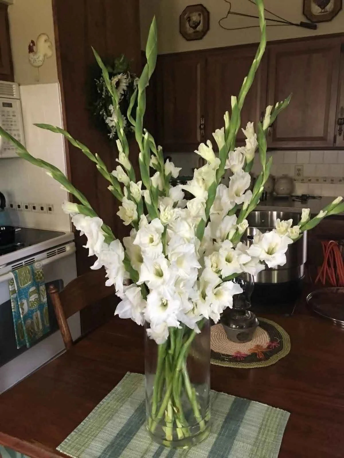 Pure Elegance – White Gladiolus Luxury Glass Box Bouquet