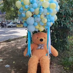 teddy box