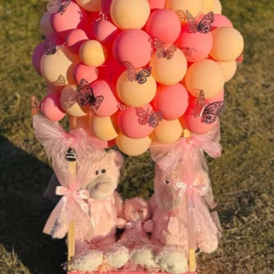 teddy-dream-balloon-basket-gift-shop-in-islamabad.jpg