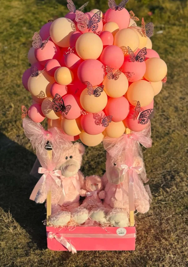teddy-dream-balloon-basket-gift-shop-in-islamabad.jpg