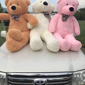 6 Feet Teddy Bear