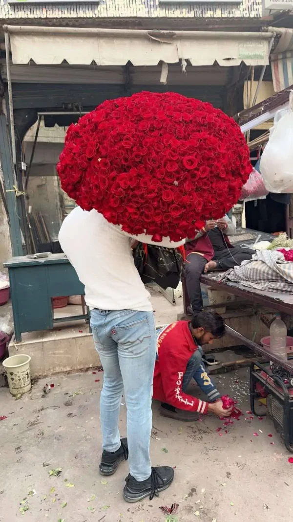 XXL 1000 Red Roses Bouquet – Ultimate Luxury | Gift Shop in Islamabad